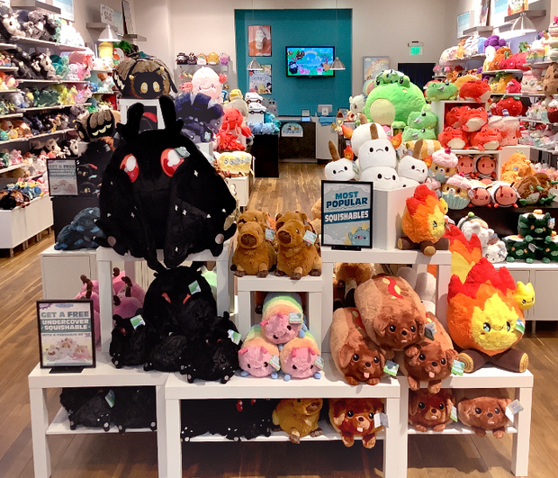 stores shelves photo