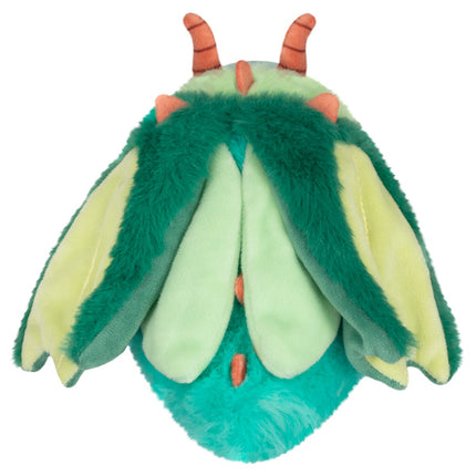 Alteregos Moth Dragon Back