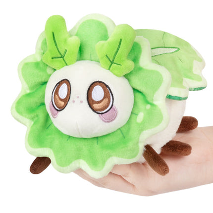 Alteregos Moth Turnip