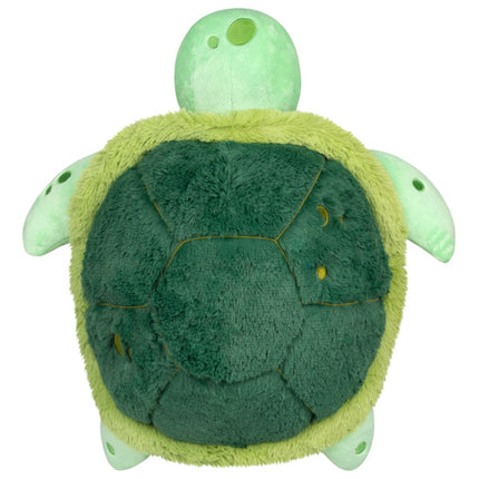 baby sea turtle top view