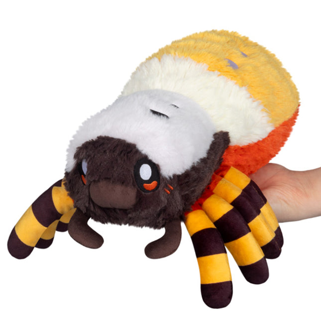 mini orb weaver spider front image