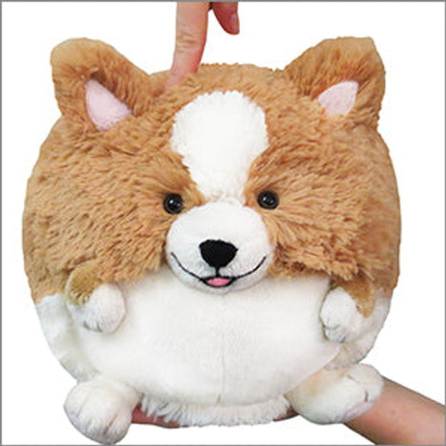 Mini Squishable Corgi Product Image