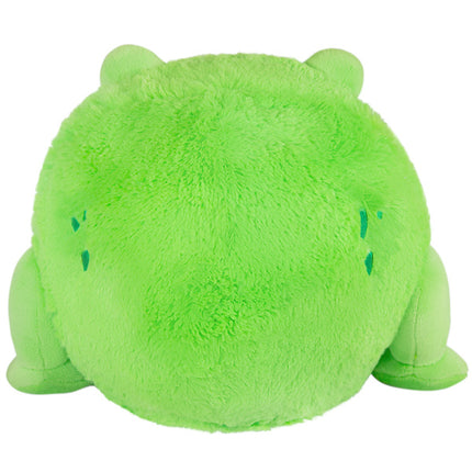 mini squish frog 7 back
