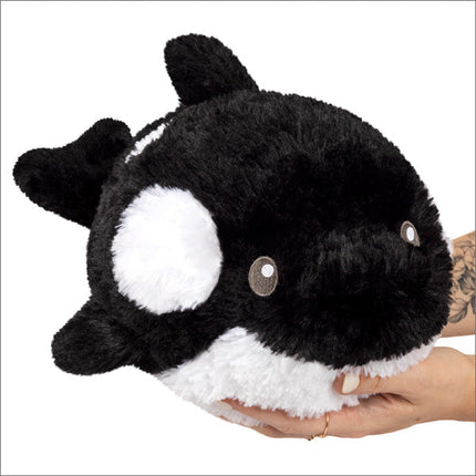 Mini Squishable Orca Product Image