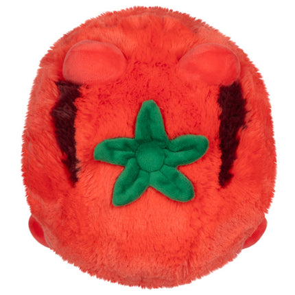 mini tomatoad top image