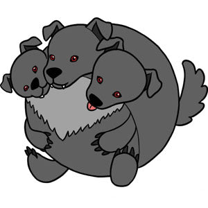 opensquish cerberus 11983 design