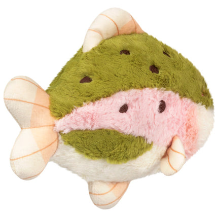 Snacker Rainbow Trout S1E2