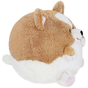 squish corgi 15 side new