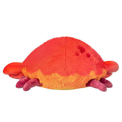 squish crab ii 15 back