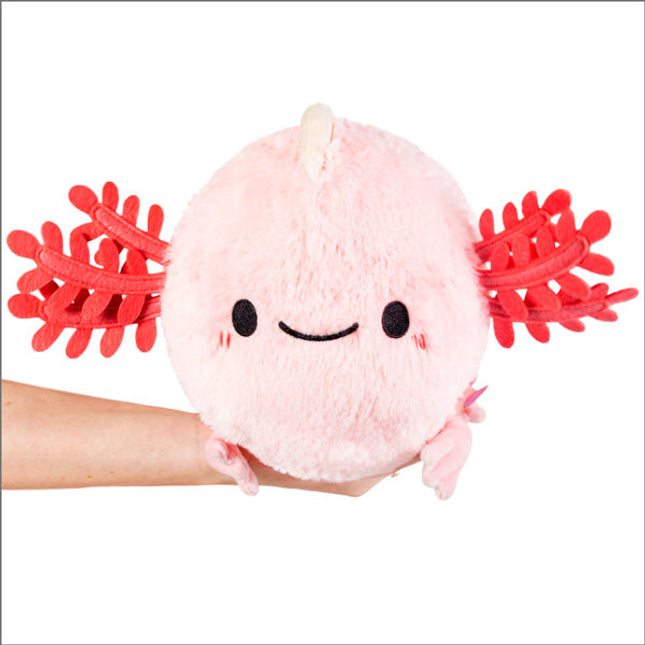 Mini Squishable Baby Axolotl Product Image