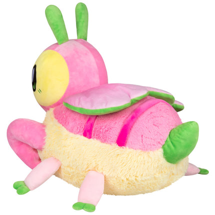 orchid mantis side image