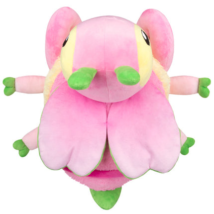 orchid mantis top photo