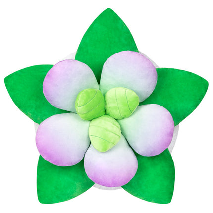 squish succulent 15 top