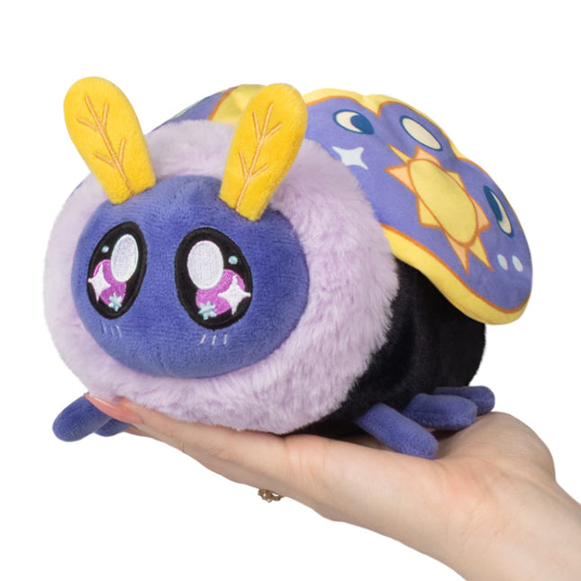 squee starry moth front view